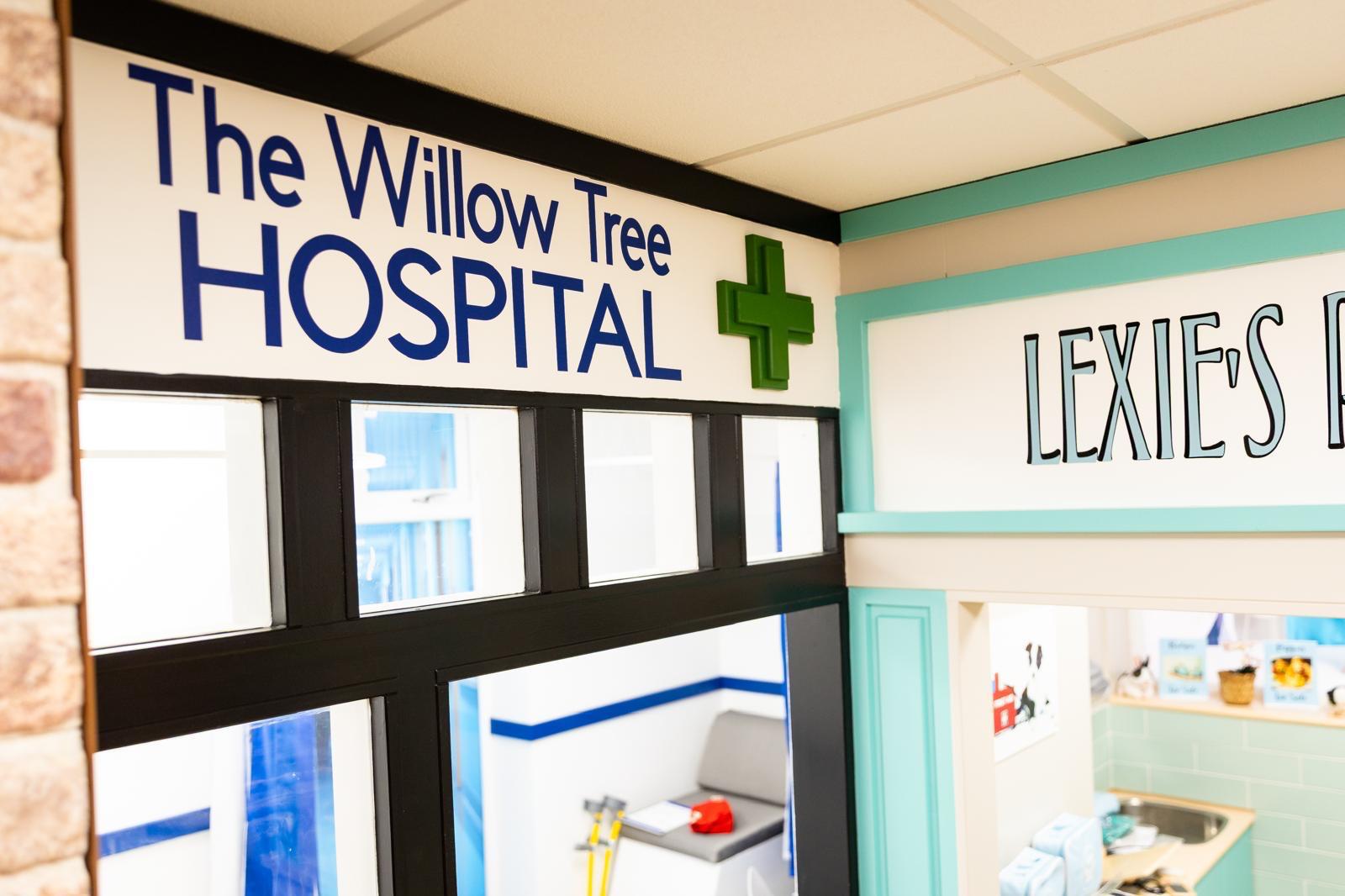 Willow Tree Hospital